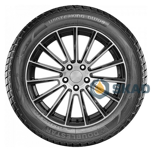 Зимові шини Doublestar Winterking DW09 315/35 R20 106T dbl192
