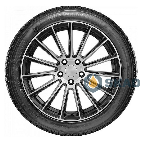 Зимові шини Doublestar Winterking DW02 265/50 R19 110T XL dbl168