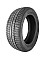 Зимові шини Warrior WR300 SUV 225/60 R18 104V XL ww845548
