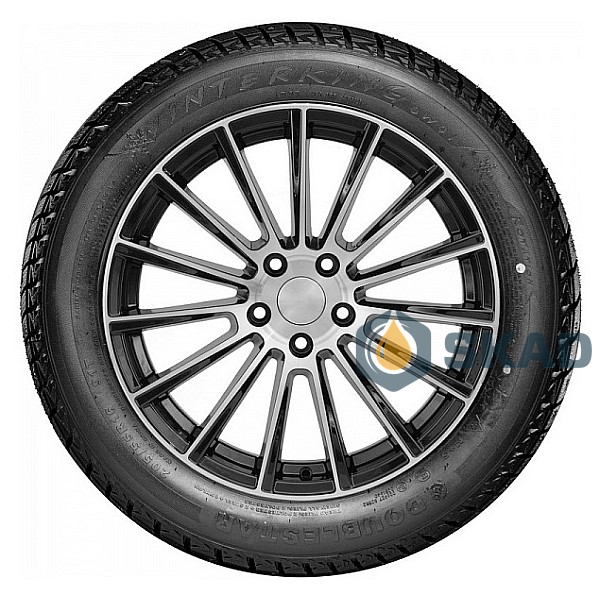 Зимові шини Doublestar Winterking DW01 275/60 R20 119S XL dbl150