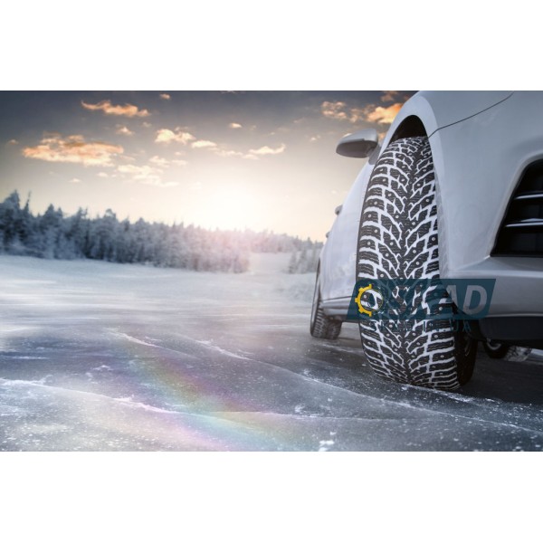 Nokian Hakkapeliitta 9 215/55 R17 98T XL (ШИП) TS32208