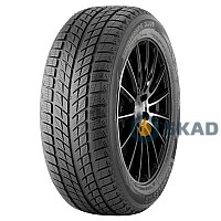 Doublestar Winterking DW09 275/40 R20 106V XL