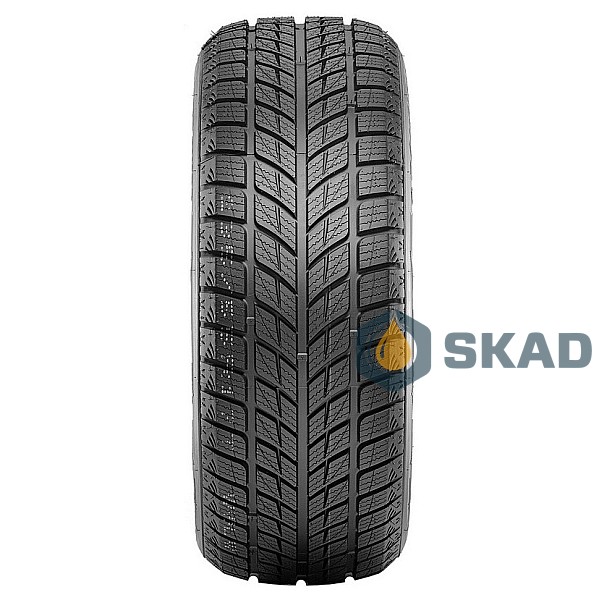 Зимові шини Doublestar Winterking DW09 315/35 R20 106T dbl192