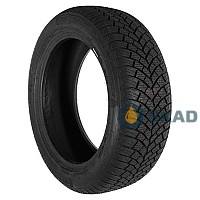 Double Coin DASP-PLUS 225/55 R17 101W XL