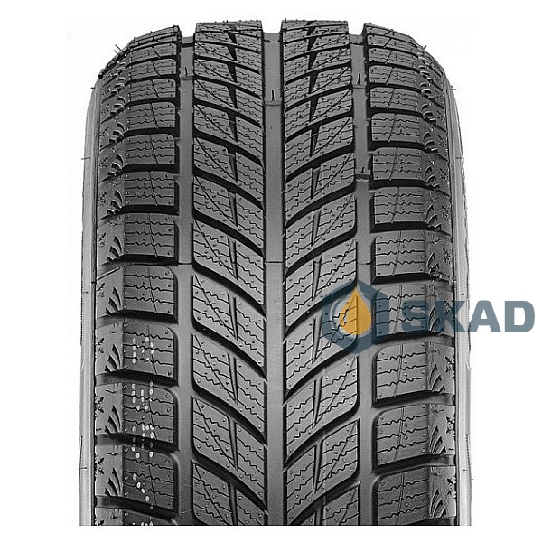 Зимові шини Doublestar Winterking DW09 315/35 R20 106T dbl192