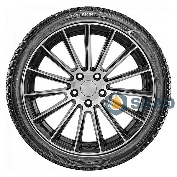 Зимові шини Doublestar Winterking DW08 155/65 R14 75T dbl339