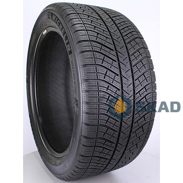 Winter Tyre Michelin Pilot Alpin 5 215/30 R21 105V XL mich54228