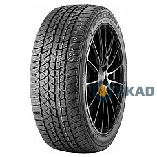 Doublestar Winterking DW02 225/60 R18 100S